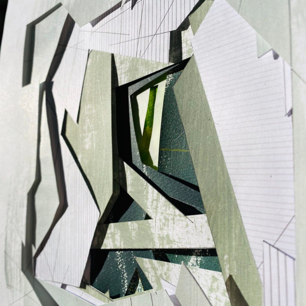 image1 image1